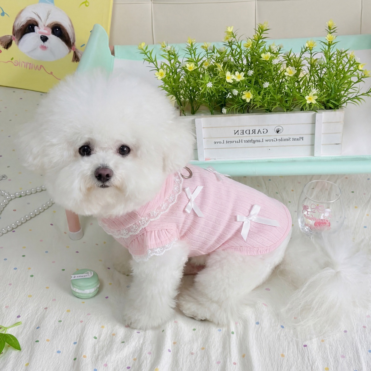 Pet Spring Lace Bow Vest Can P - Lace Teddy Lingerie reseña y precio