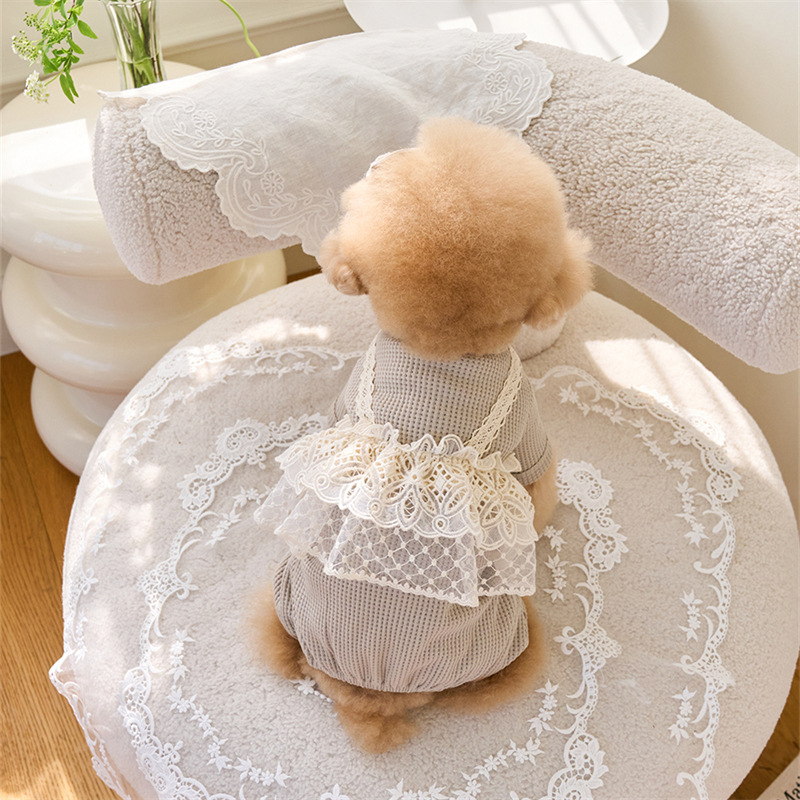Pet Spring Jumpsuit Cute Lace  - Lace Teddy Lingerie reseña y precio
