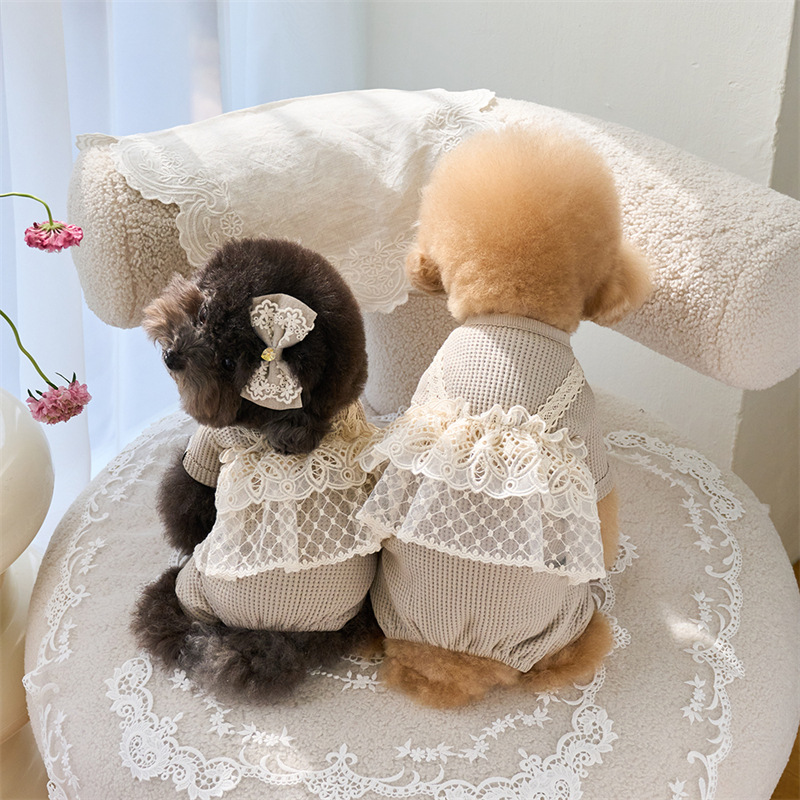 Pet Spring Jumpsuit Cute Lace  - Lace Teddy Lingerie reseña y precio
