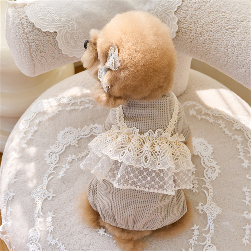 Pet Spring Jumpsuit Cute Lace  - Lace Teddy Lingerie reseña y precio