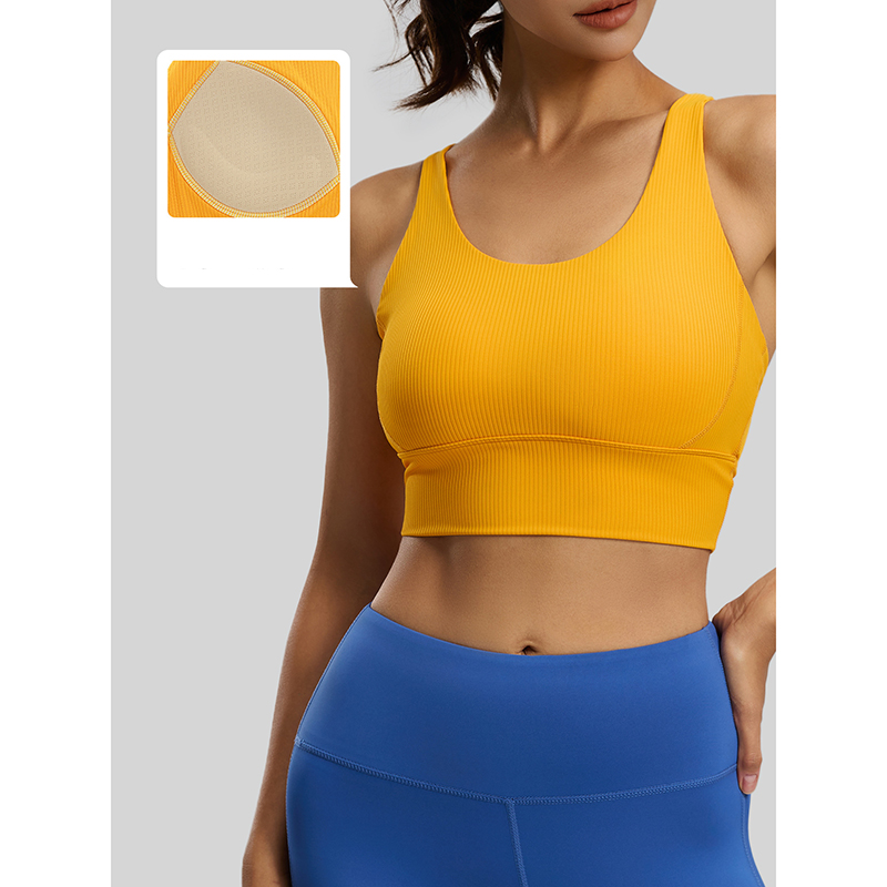 2026 New Women Ribbed High Imp - Sports Bra High Impact reseña y precio