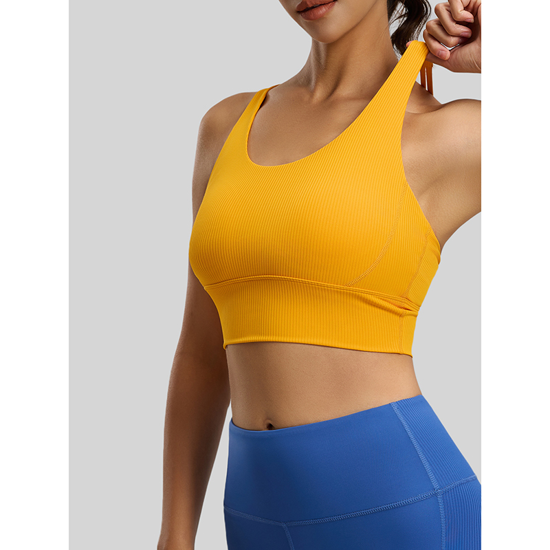 2026 New Women Ribbed High Imp - Sports Bra High Impact reseña y precio